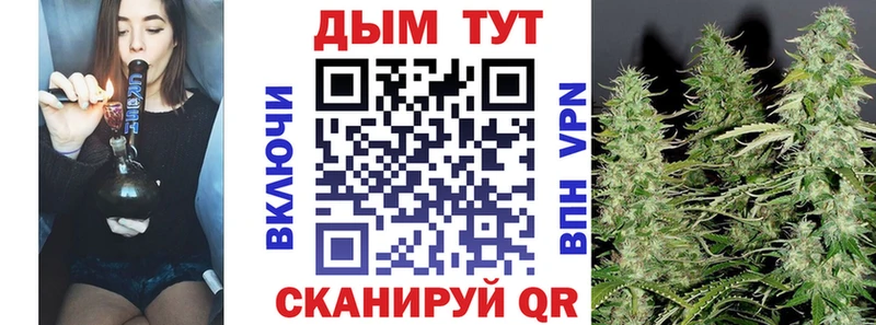Шишки марихуана тримм  Купить закладки  Сольцы 